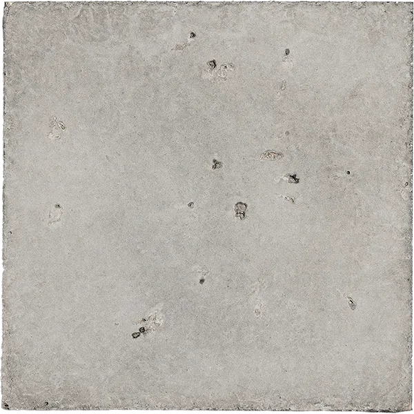 Dolphin Gray
