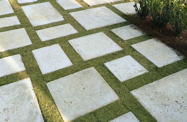 Rice White Peacock Pavers