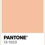 Pantone's colour of the year swatch, "Peach Fuzz"