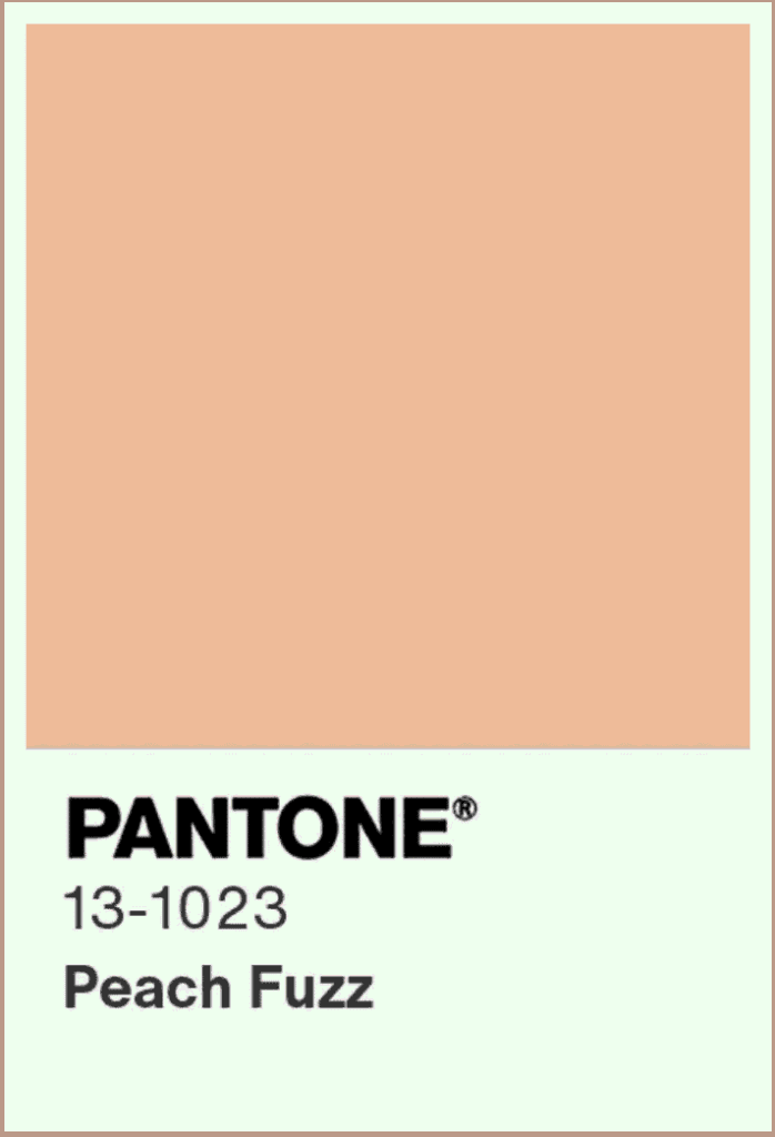 Pantone's colour of the year swatch, "Peach Fuzz"
